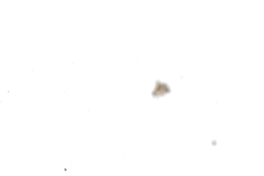 Image 14